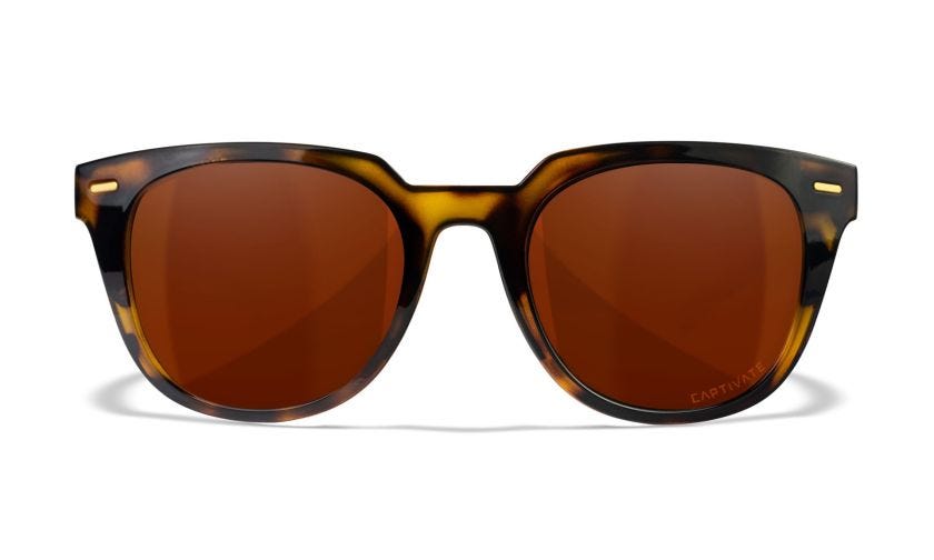 WX ULTRA, Glas: CAPTIVATE™ Polaroid Kobber, Stel: Blank Demi Brun/Blank Sort Image